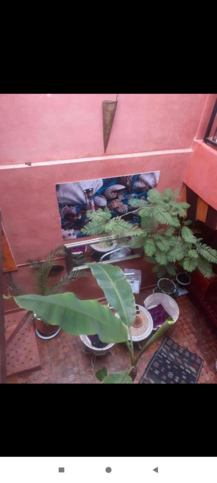 Riad Hanafi Marrakesh Exterior photo
